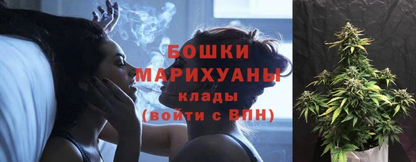 дживик Каменногорск
