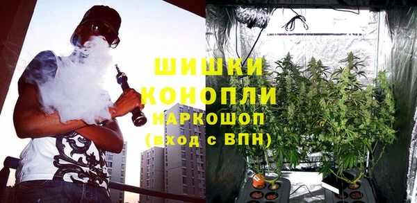 дживик Каменногорск