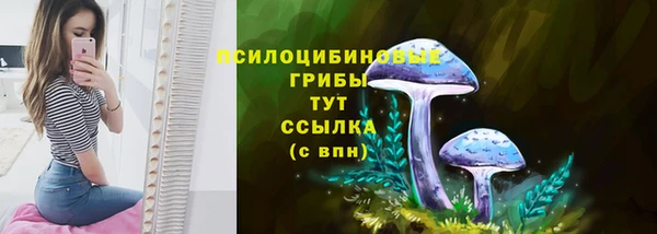 сатива Ахтубинск