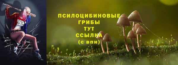 прущая мука Каменка