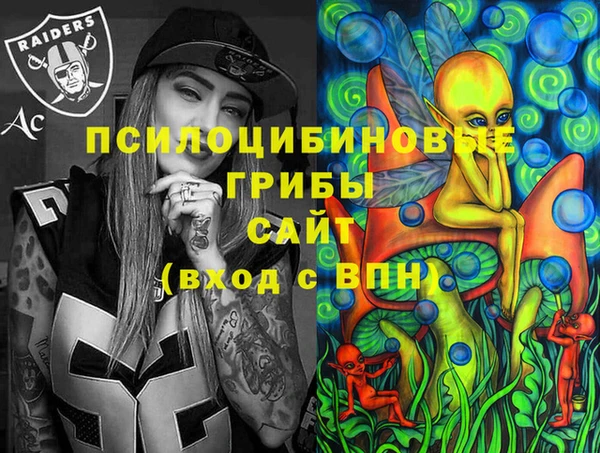 прущая мука Каменка