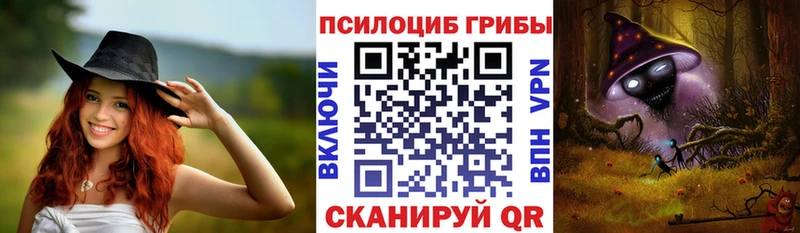 Псилоцибиновые грибы GOLDEN TEACHER  Купить закладки  Балтийск 