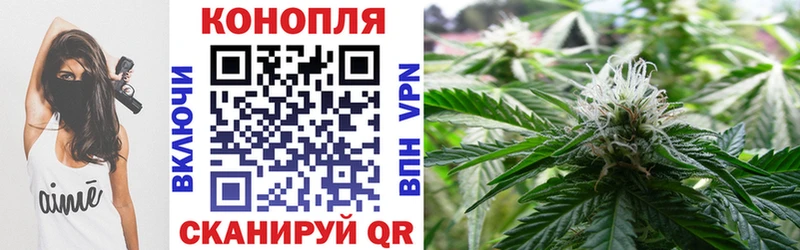 Купить закладки  Балтийск  Бошки марихуана Ganja 